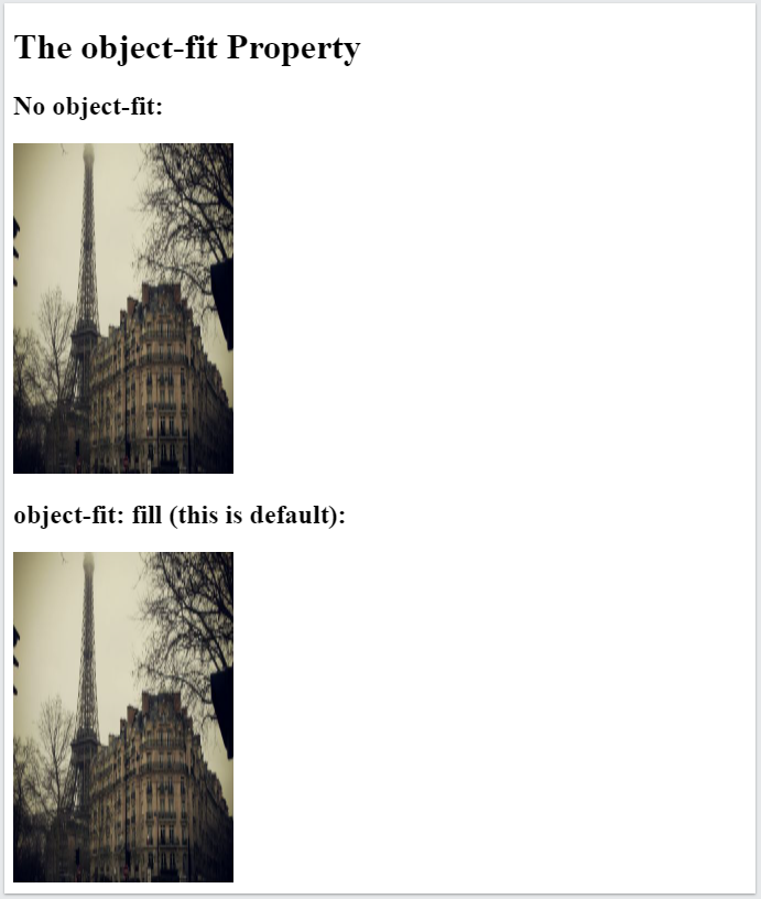 مثال های بیشتری از CSS object-fit